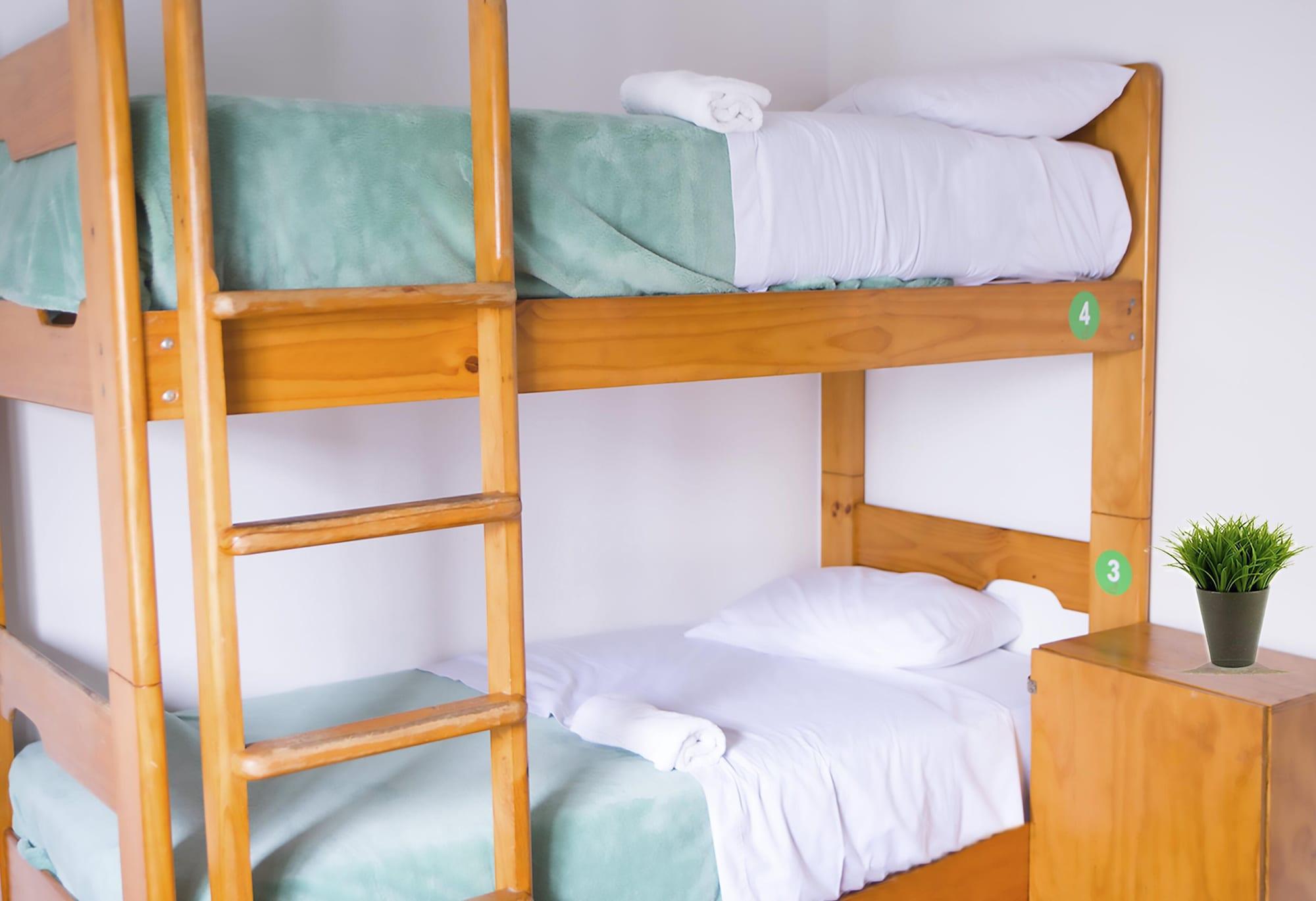 Red Llama Eco Hostel Lima Ngoại thất bức ảnh