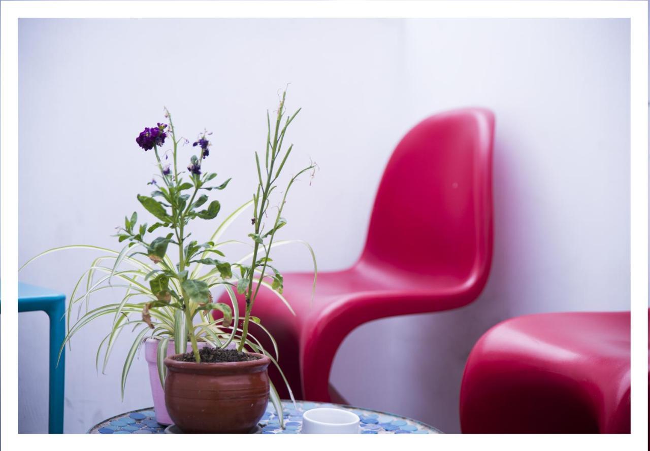 Red Llama Eco Hostel Lima Ngoại thất bức ảnh